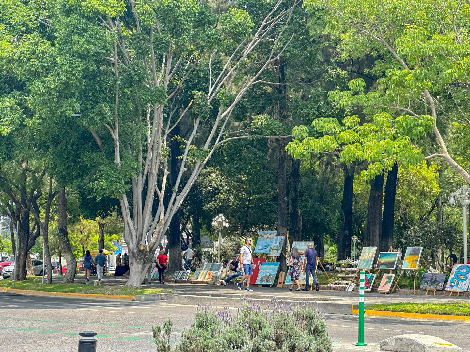 Suite/ terraza en la glorieta chapalita Guadalajara Esterno foto