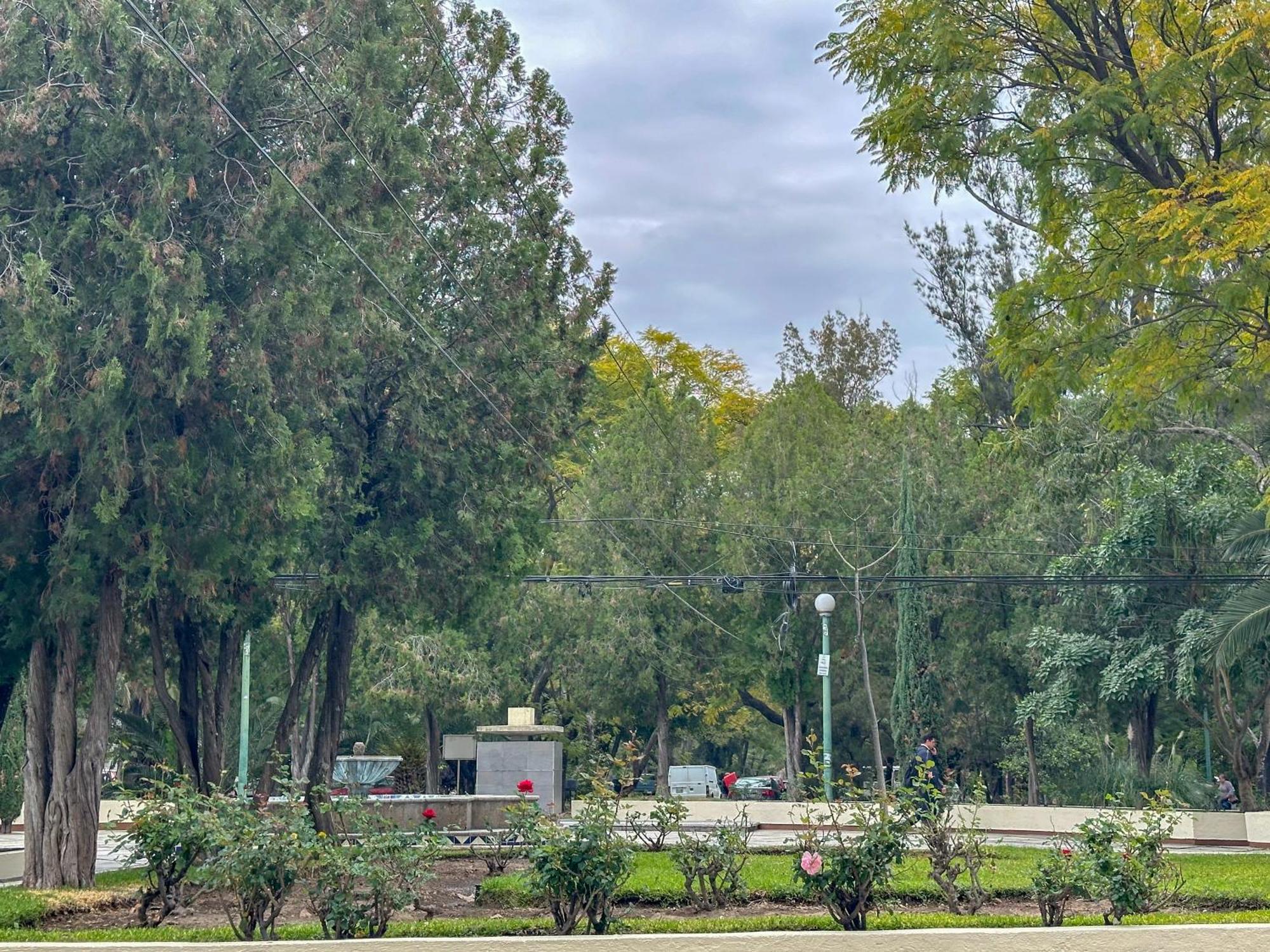Suite/ terraza en la glorieta chapalita Guadalajara Esterno foto